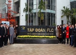 flc (1)
